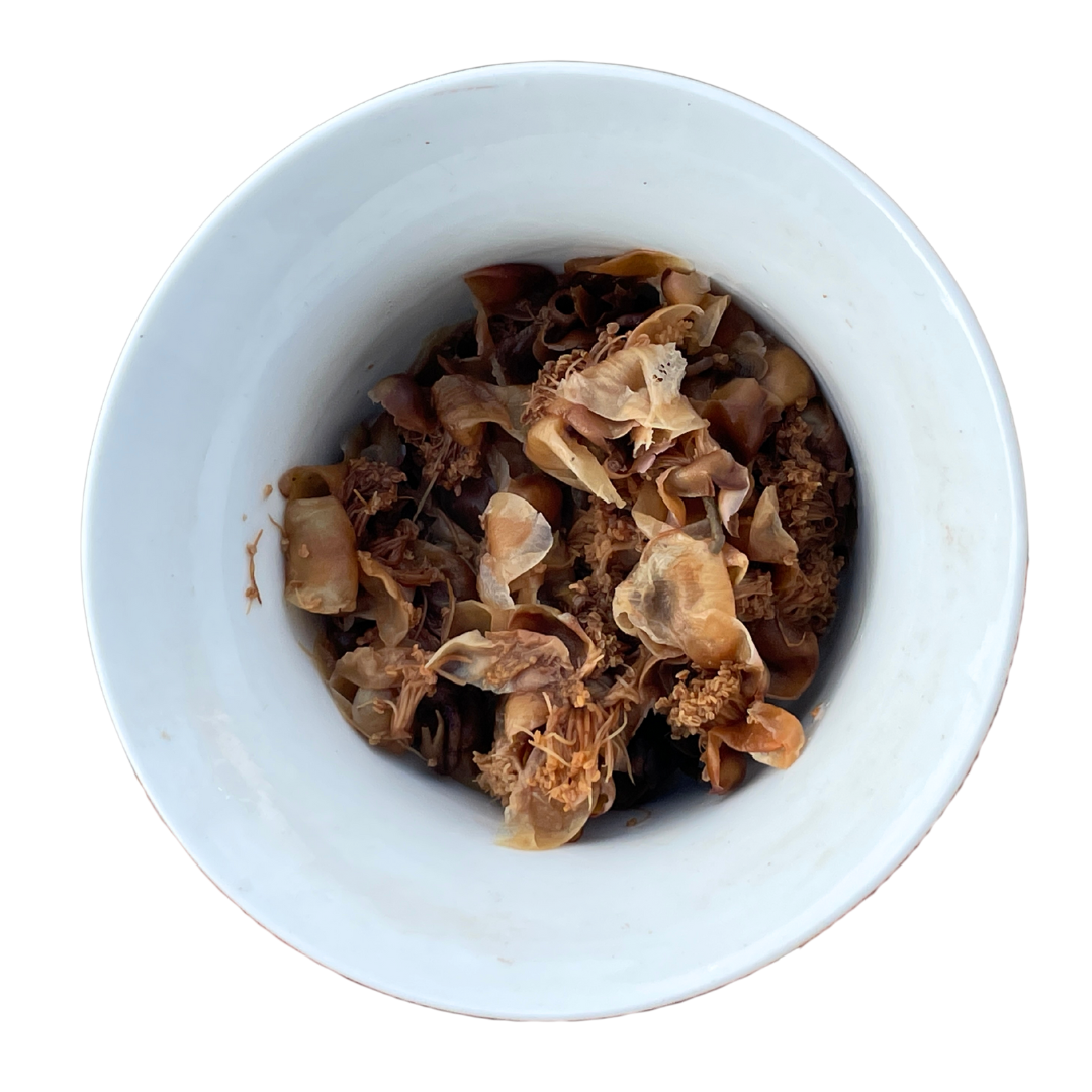 Ancient Tea Tree Flower Cake