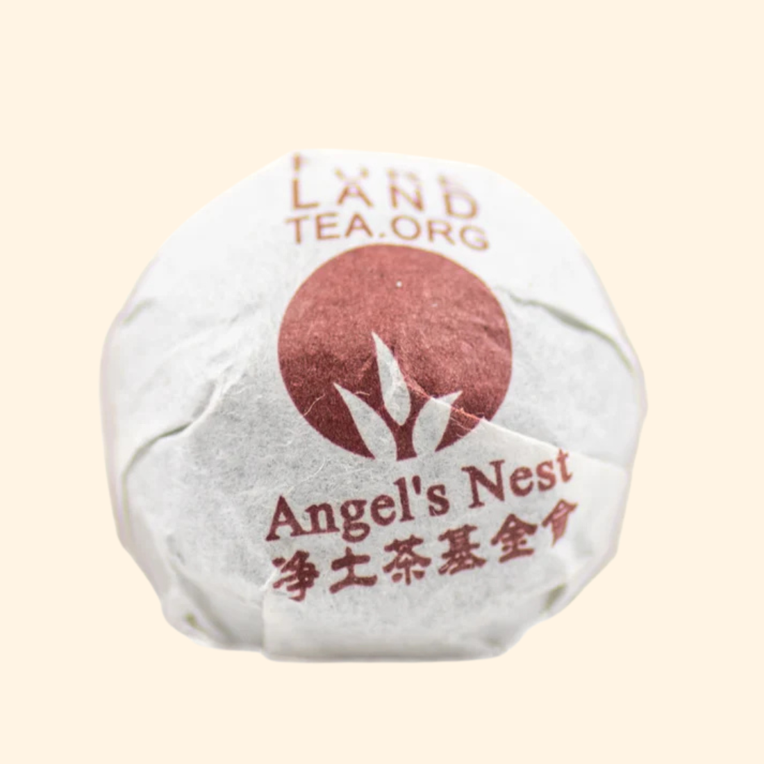 Angel's Nest