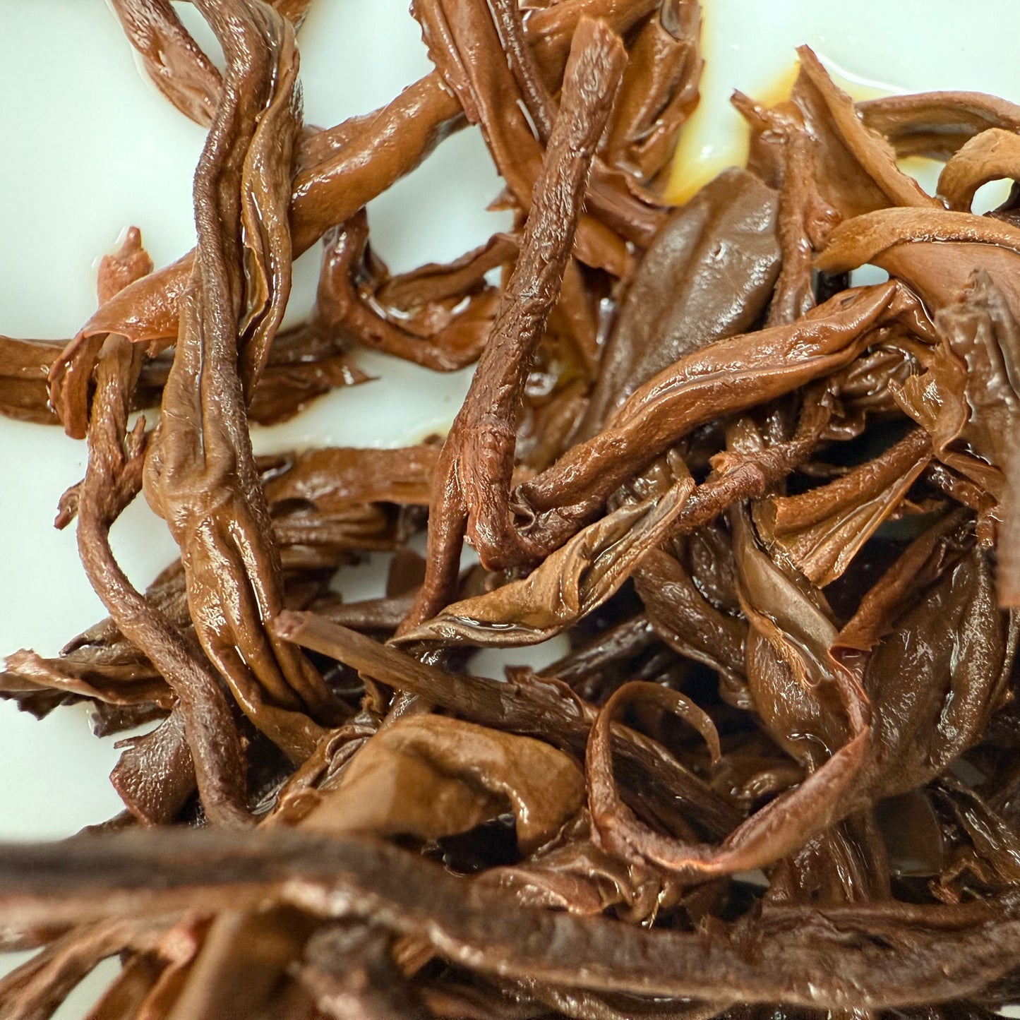 Old Tree Red Tea