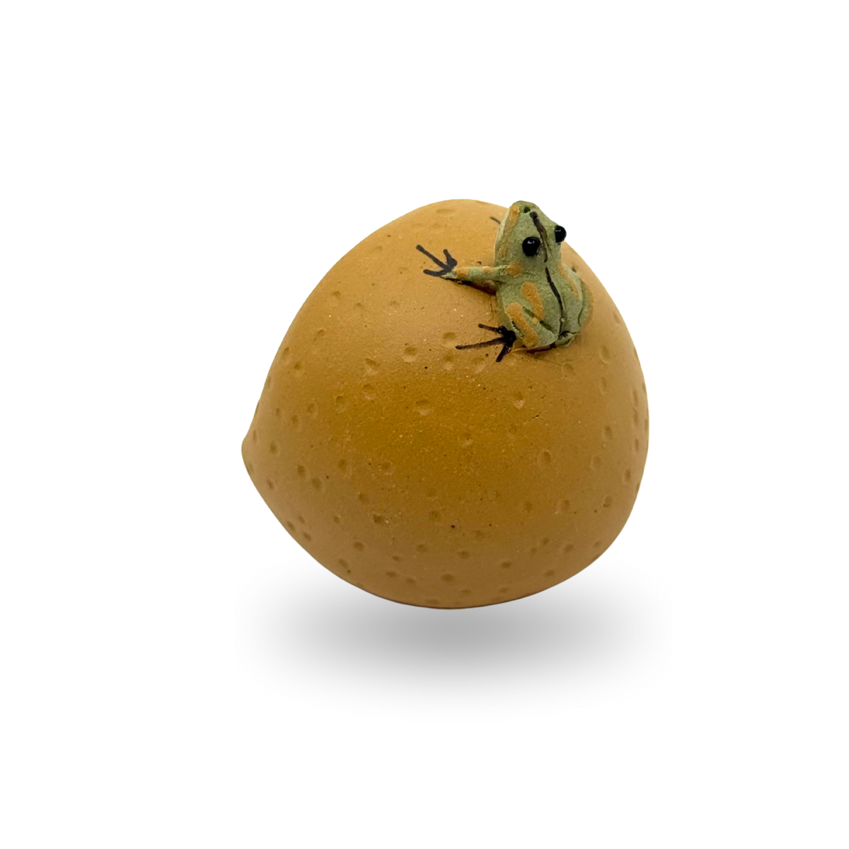 Squirting Frog