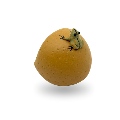 Squirting Frog