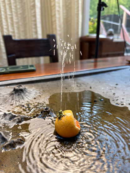 Squirting Frog