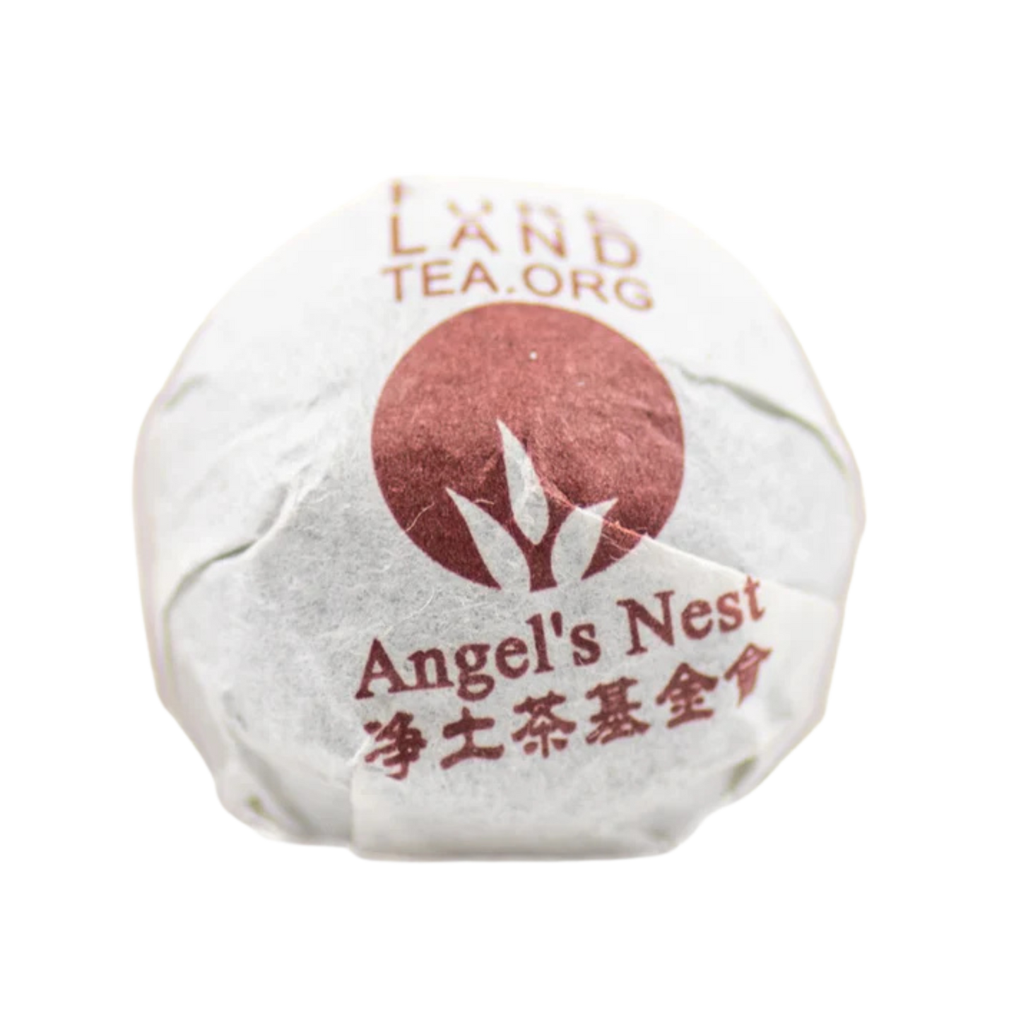 Angel's Nest