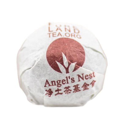 Angel's Nest