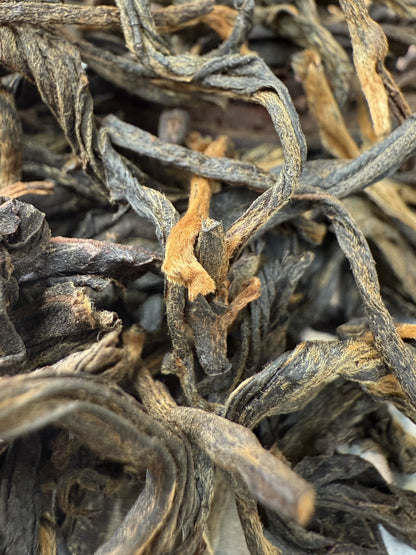 Old Tree Red Tea