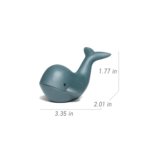 Water Spraying Whale